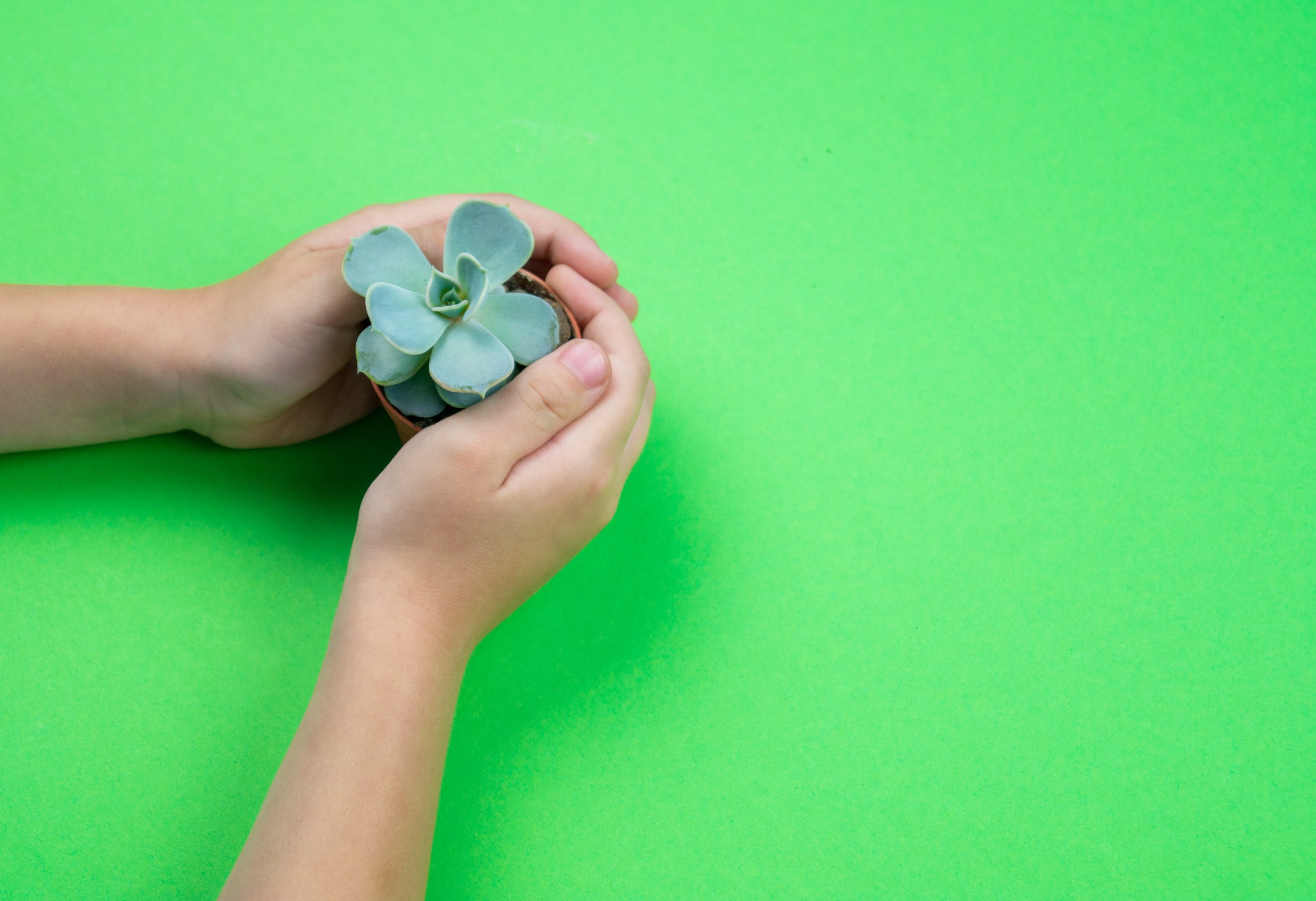 Let s GROW let-s-grow